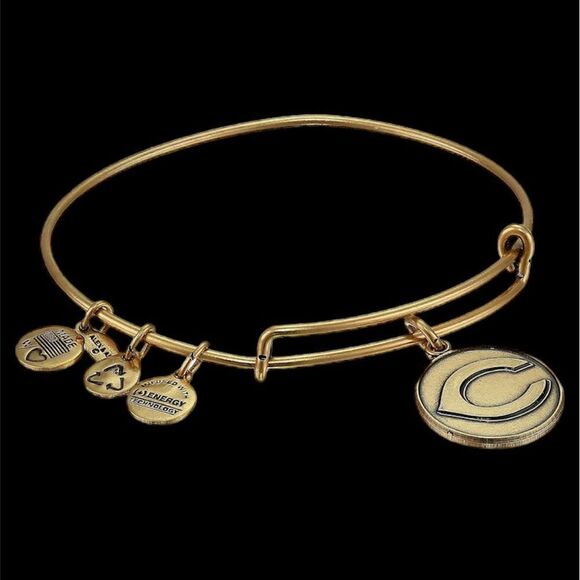 Alex and Ani MLB® Cincinnati Reds Charm Bangle Rafaelian Gold Finish! - Picture 1 of 6
